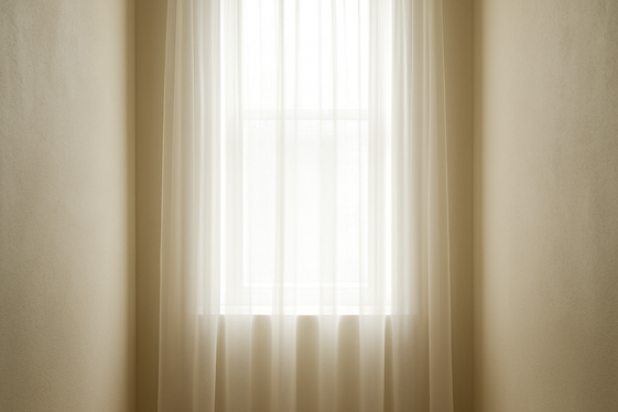 Opt for Clear or Minimal Window Treatments illustration