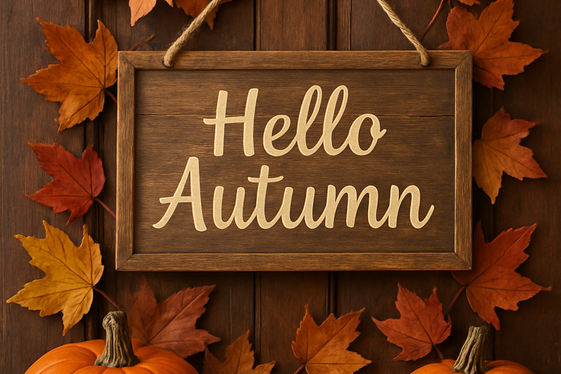Rustic Wooden Signs with Warm Quotes illustration