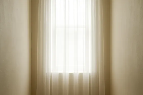 Opt for Clear or Minimal Window Treatments illustration
